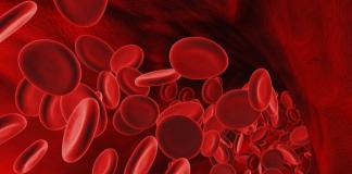 Эритроциты в крови повышены: причины, последствия и профилактика