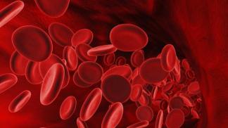 Sel darah merah dinaikkan: sebab, akibat dan pencegahan