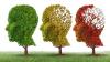 Degenerative dementia, Alzheimer's disease as a cause of dementia, manifestations, stages